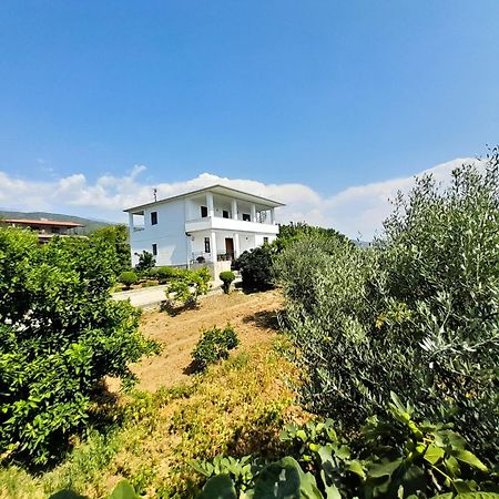 Villa Besart Berat Exteriör bild