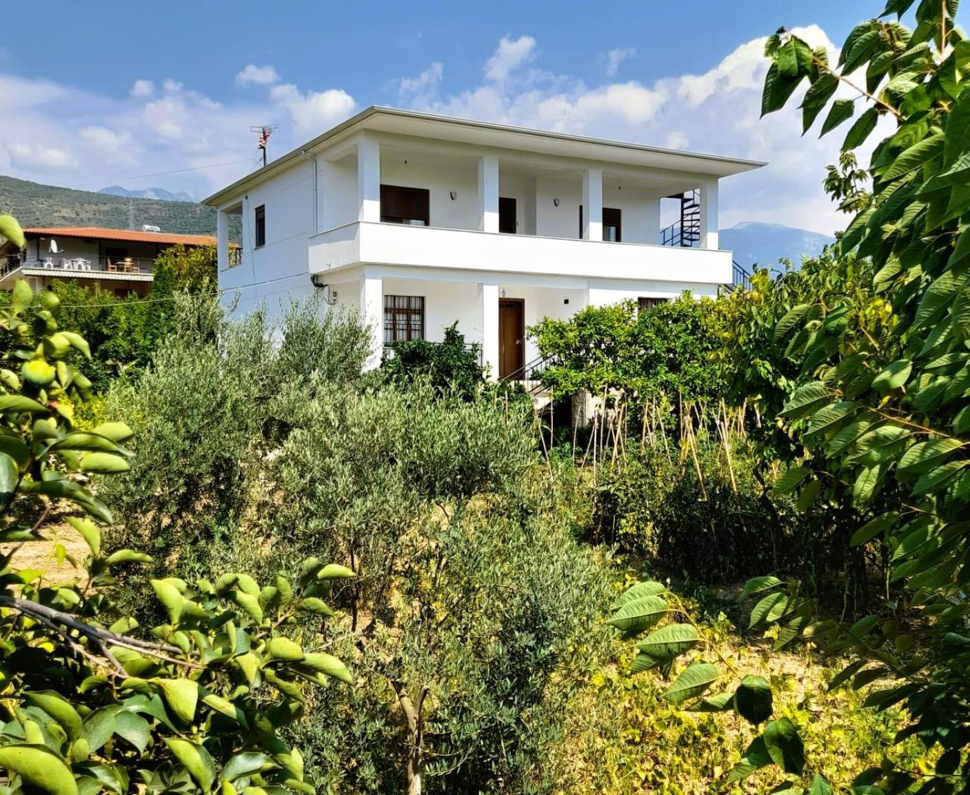 Villa Besart Berat Exteriör bild